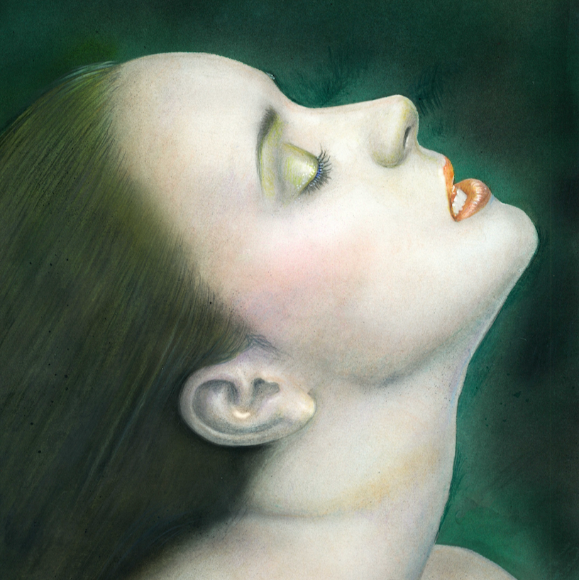 【LIMITED EDITION】Reciria 松の薬膳ジン 500ml