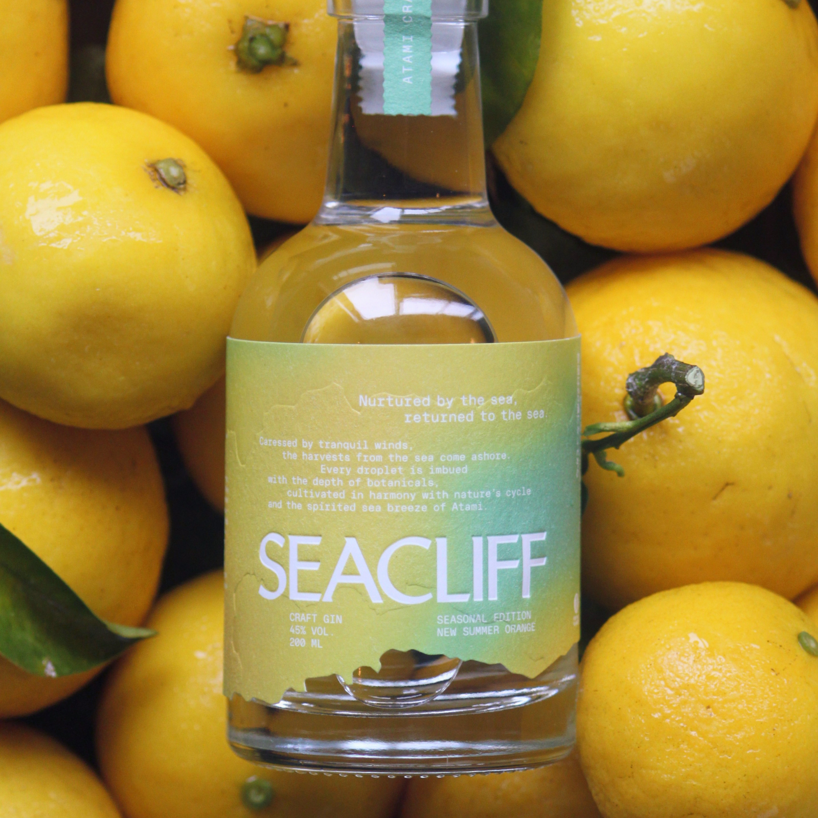【SEASONAL EDITION】NEW SUMMER ORANGE 500ml