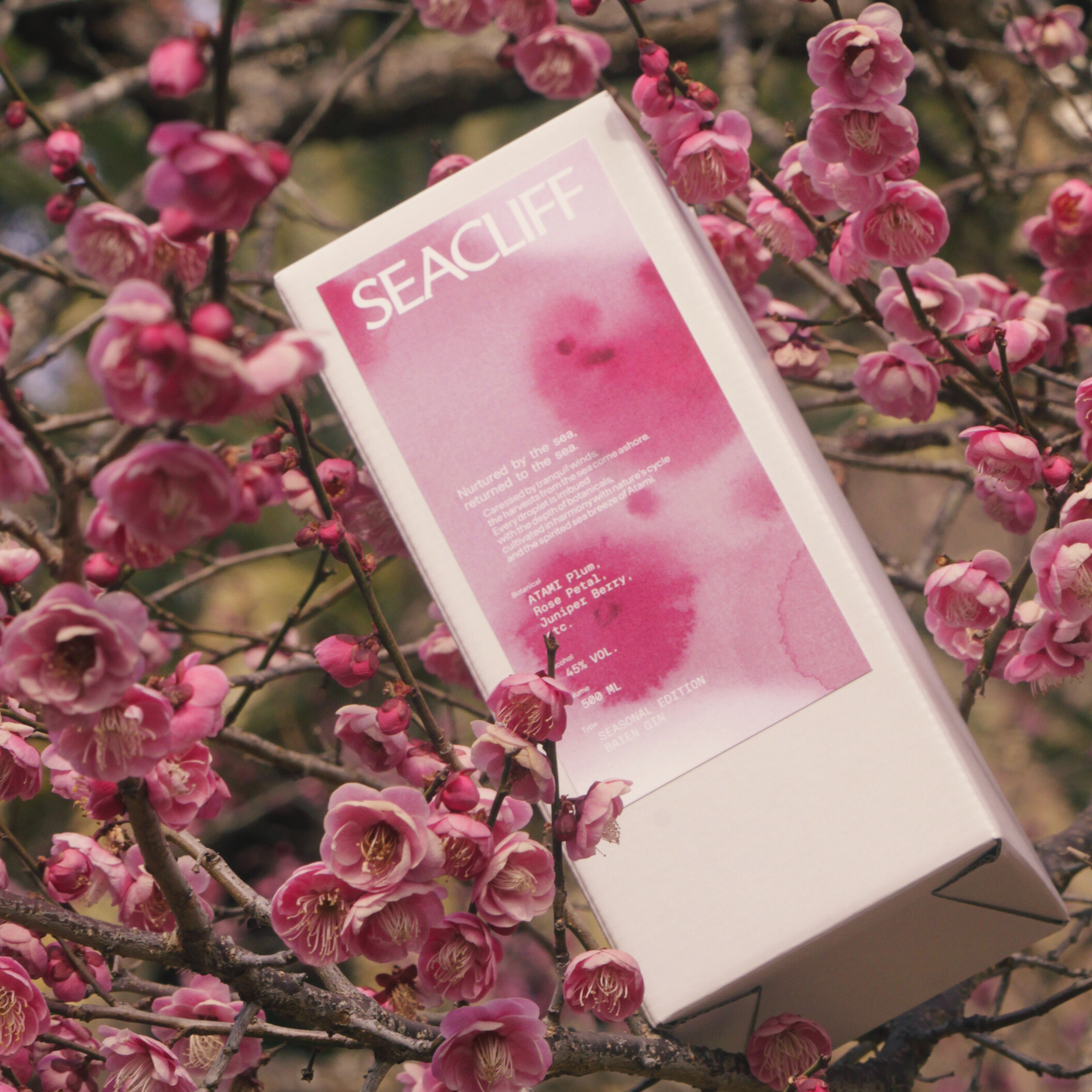 【SEASONAL EDITION】BAIEN(梅園) 500ml ※お一人様2本まで