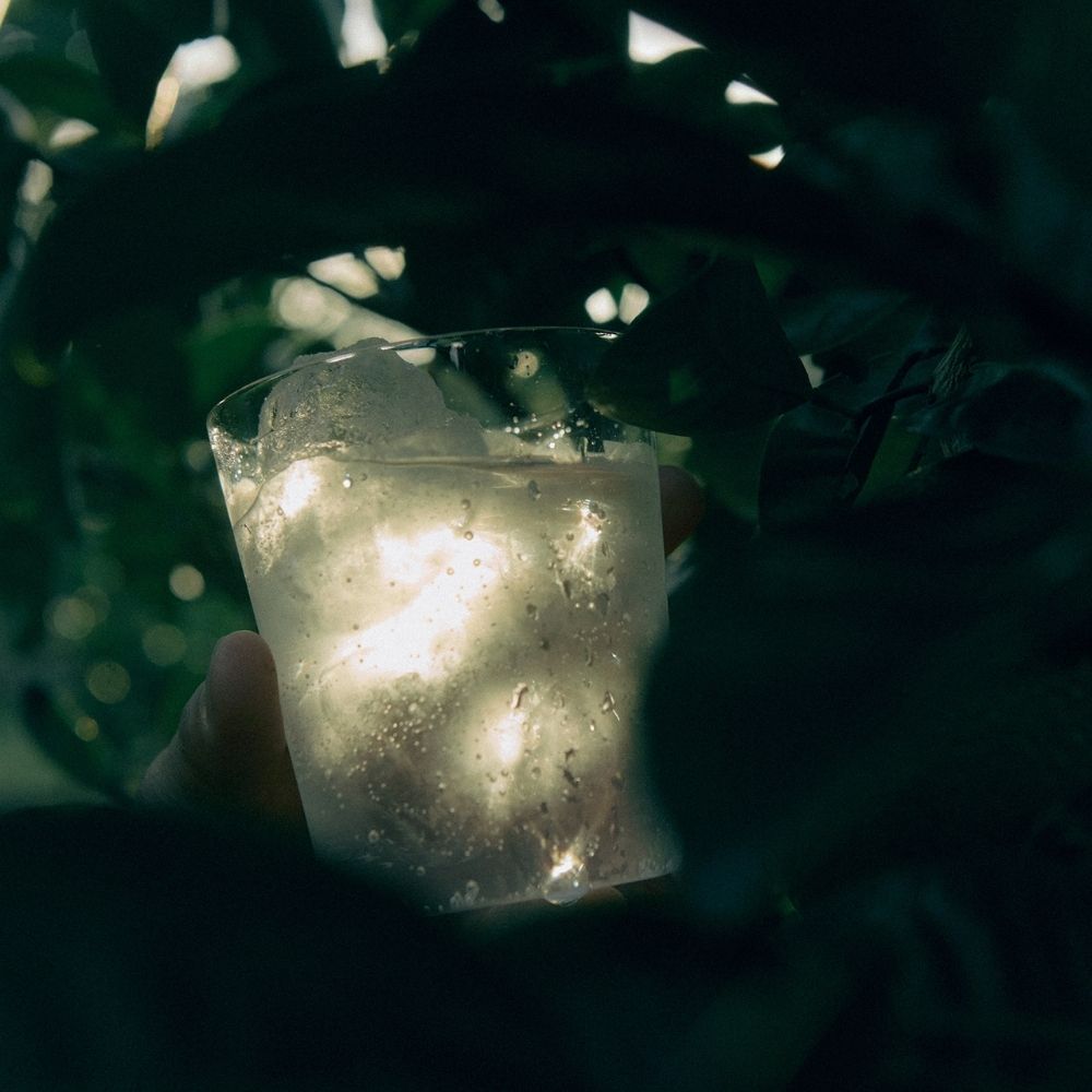 【SEASONAL EDITION】AODAIDAI(青橙) 500ml