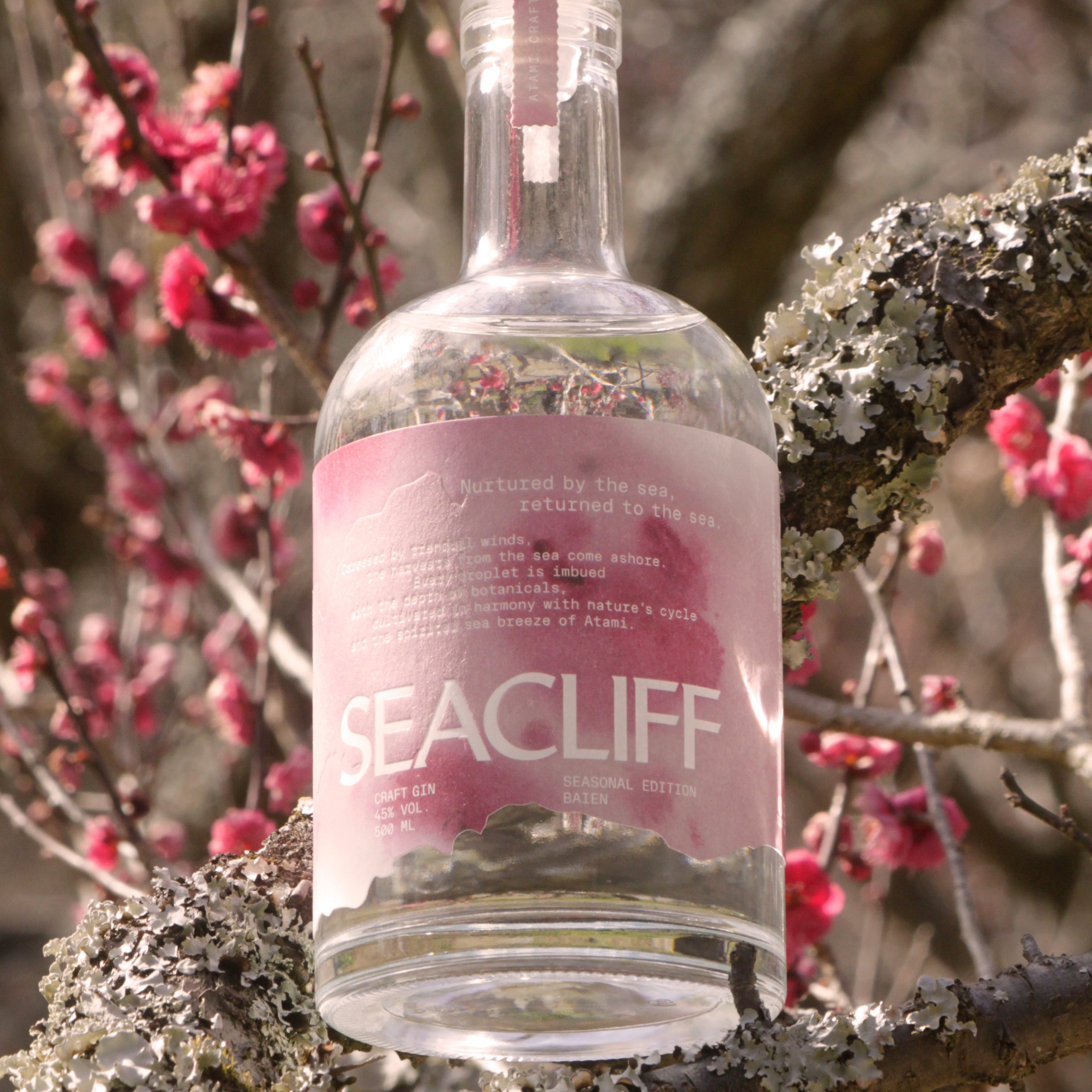 【SEASONAL EDITION】BAIEN(梅園) 500ml ※お一人様2本まで