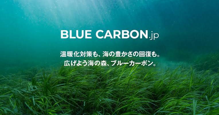 ブルーカーボン・プロジェクト