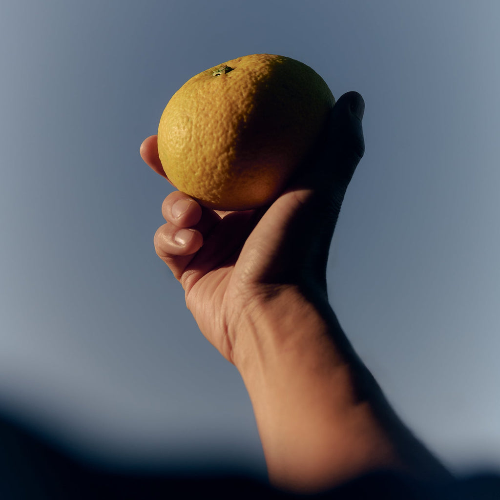 STANDARD CRAFT GIN（500ml）