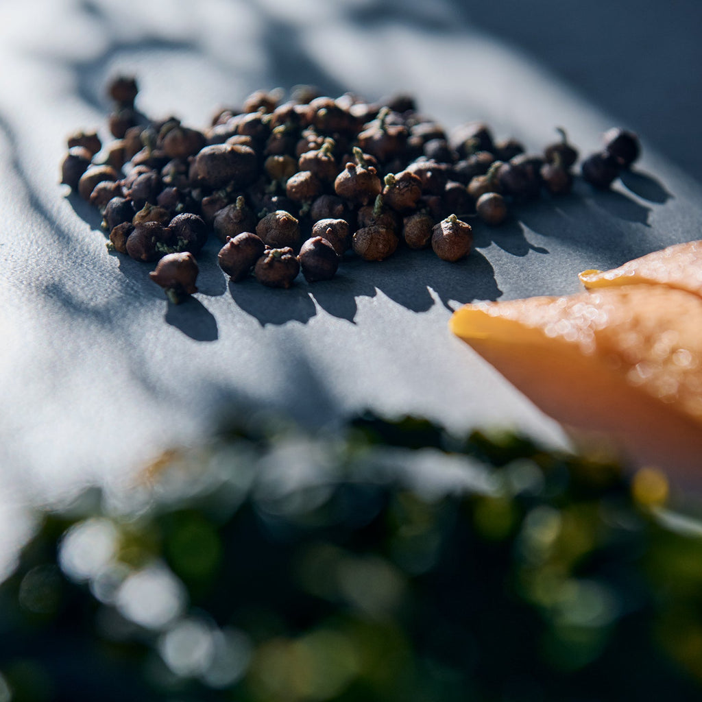 MY BLEND GIN SEMINAR